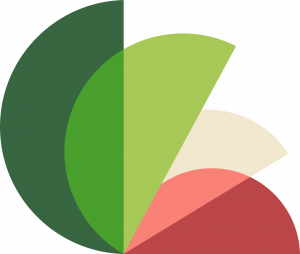 circuitos